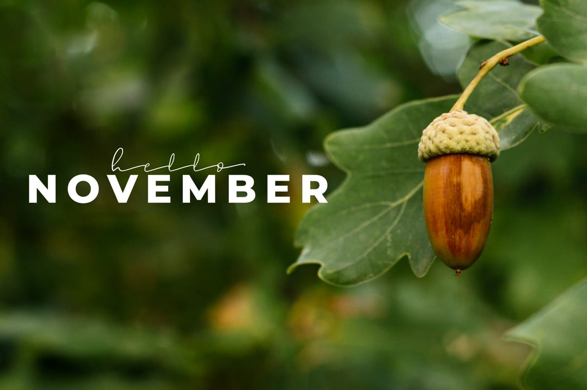 Kasım Ayı Bülteni