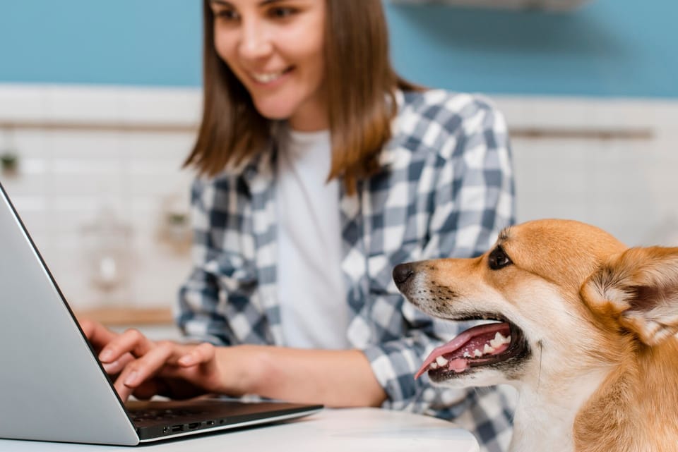 Randevu Defterinden Online Randevuya Geçiş: Neden ve Nasıl?